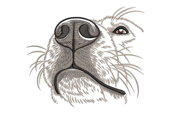Close-Up Dog Nose: A Designer's Real-World Review