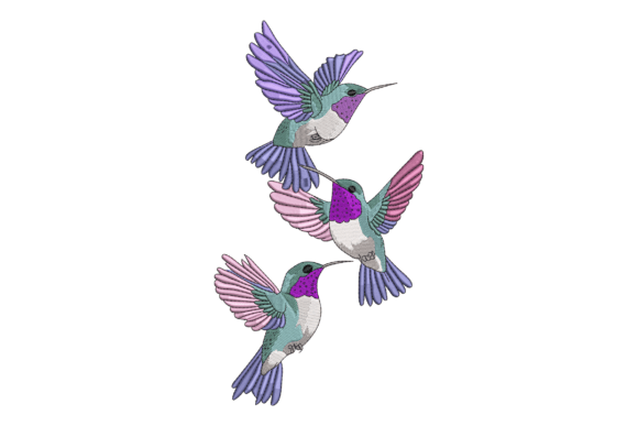 Colorful Hummingbirds: A Designer's Review