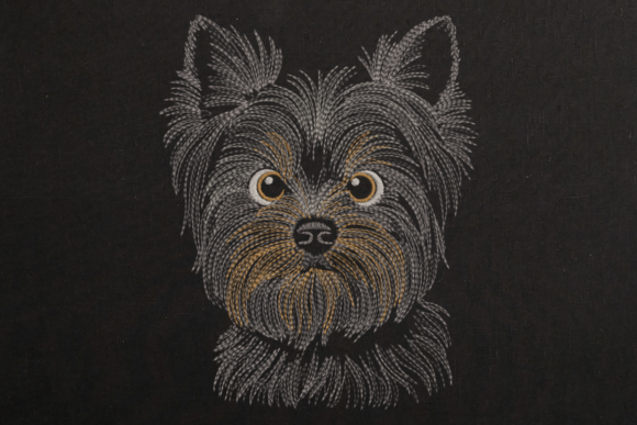 Dog Yorkshire Terrier Head: A Boutique Review