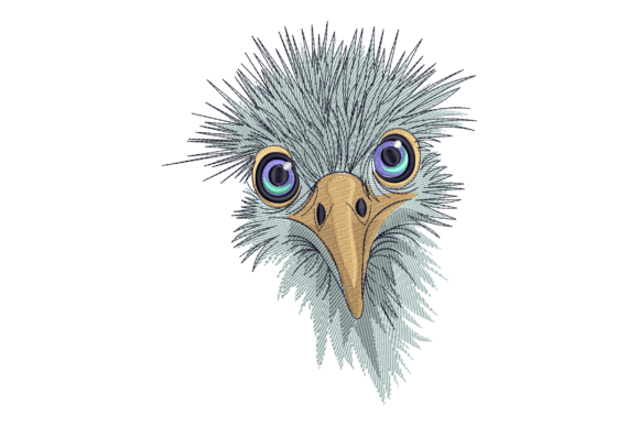 Funny Bird Face: A Designer's Real-World Review