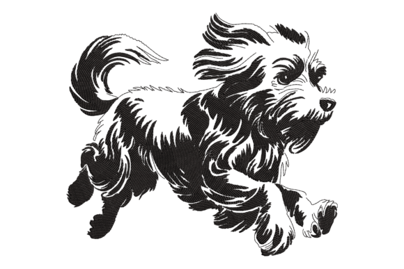 Havanese Dog Embroidery Design Review
